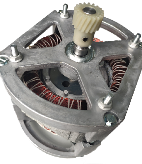 Single-Pole Induction Motor